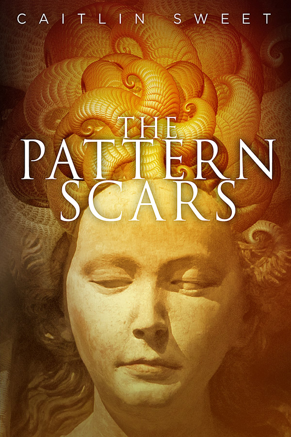 The Pattern Scars cover